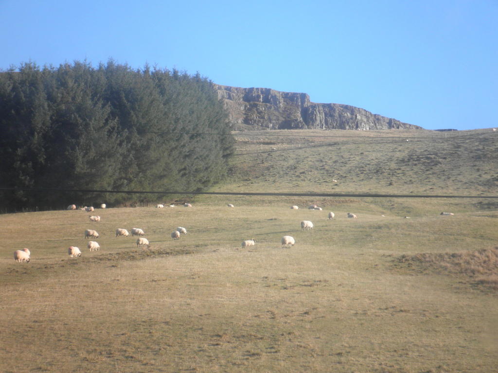 Rockfoot B&B Fintry Buitenkant foto