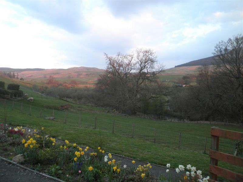 Rockfoot B&B Fintry Buitenkant foto